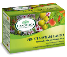 INFUSO FRUTTI MISTI DEL CAMPO